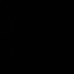 Meet your Posher, Savannah